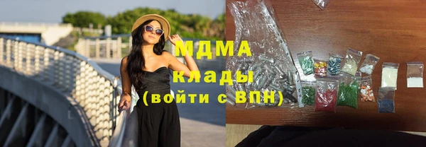 стаф Алзамай