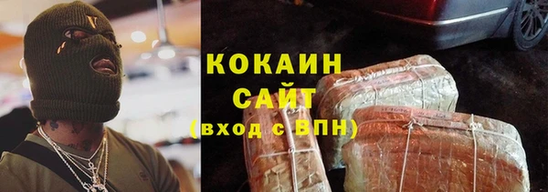 стаф Алзамай