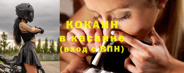 стаф Алзамай