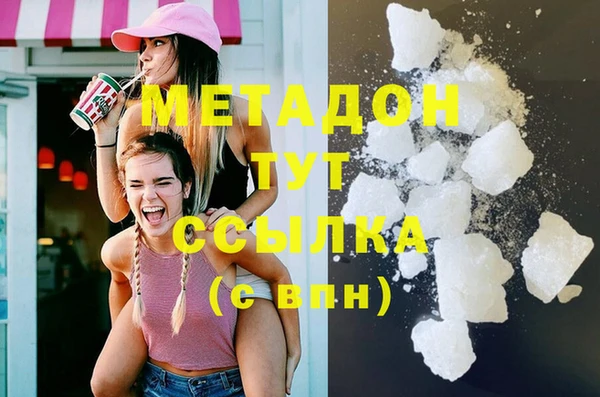 стаф Алзамай