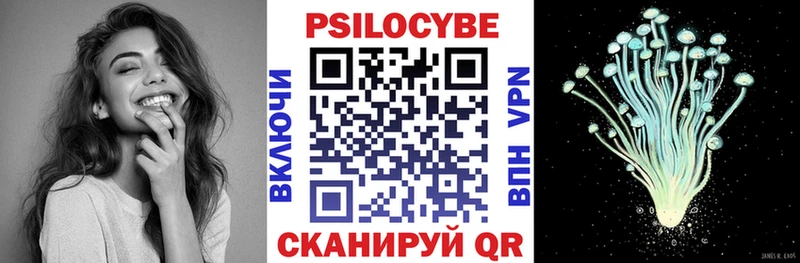 Псилоцибиновые грибы Psilocybine cubensis  гидра tor  Мыски 