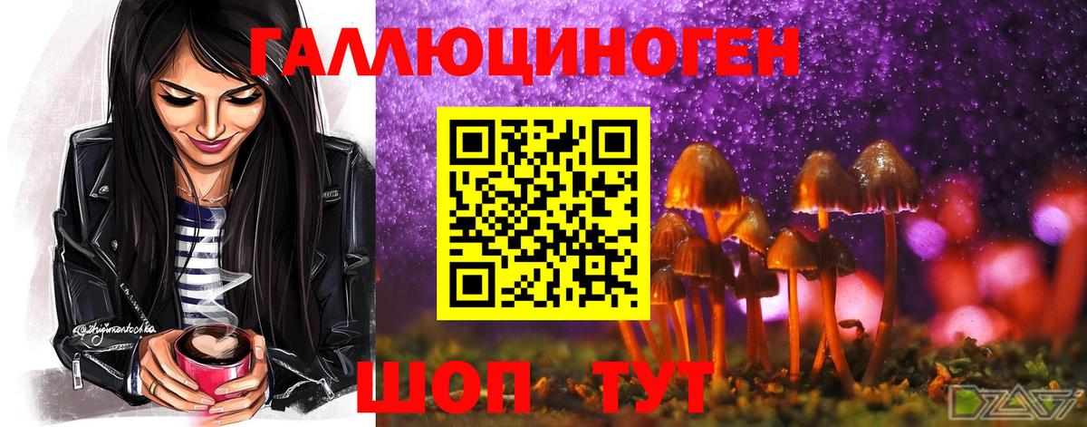 Галлюциногенные грибы Psilocybe  Вход с VPN  где купить наркоту  Мыски 