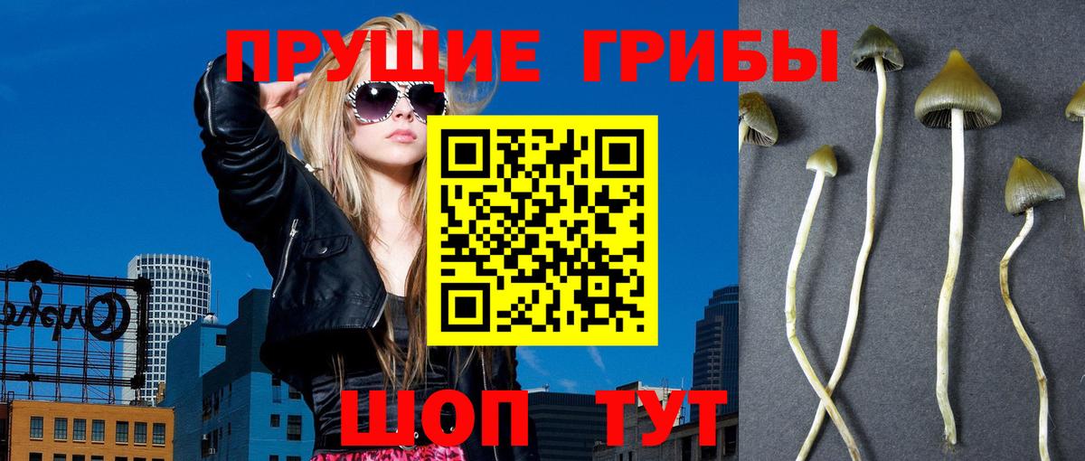 Cocaine Мыски